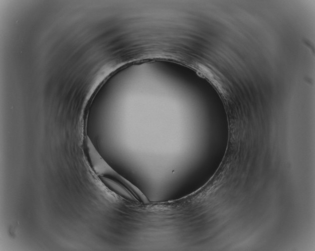 X0000091331140200708241154