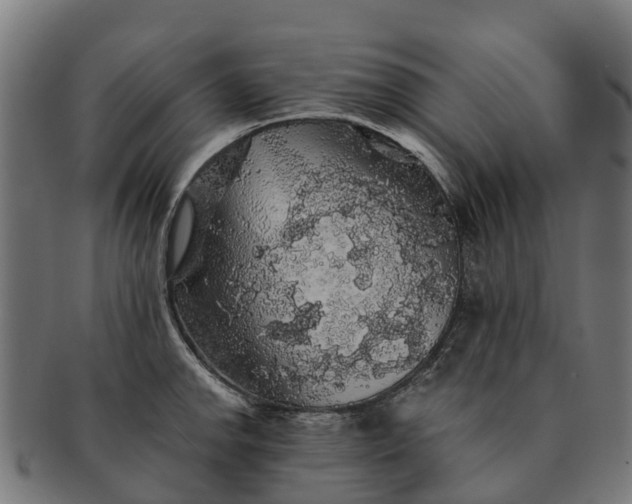 X0000091331142200708241154