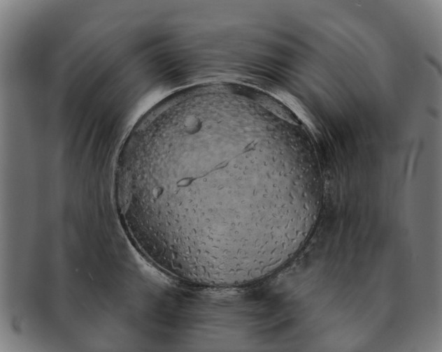 X0000091331143200708241154