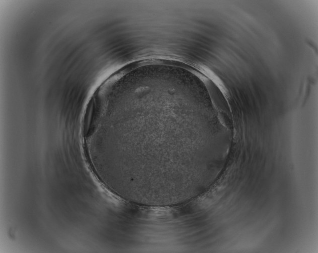 X0000091331144200708241154