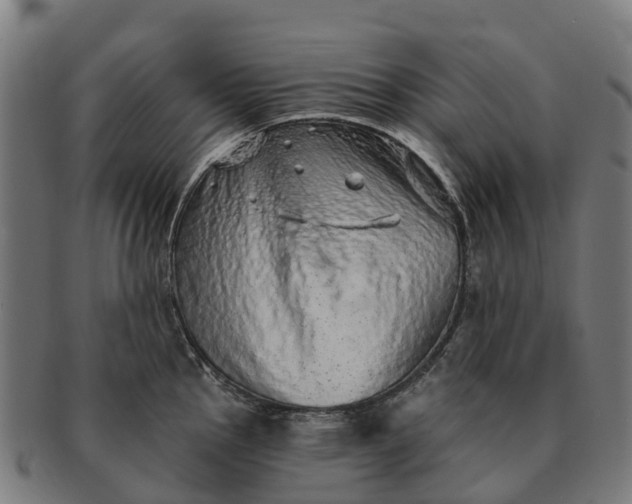 X0000091331145200708241154