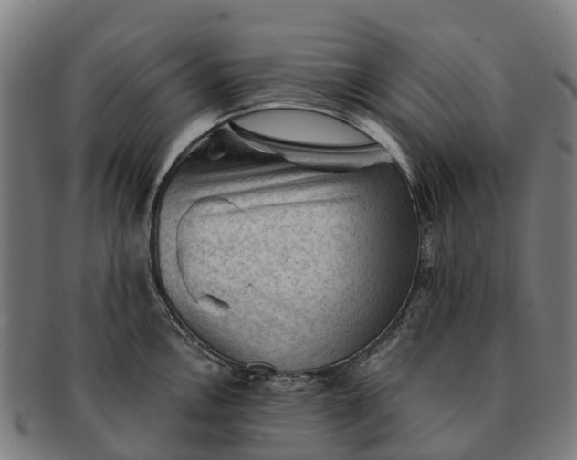 X0000091331146200708241154