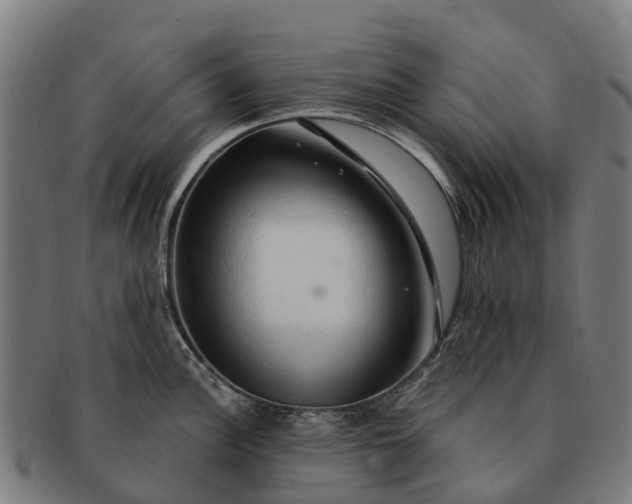 X0000091331148200708241154