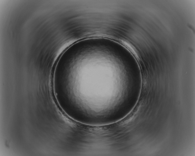 X0000091331149200708241154