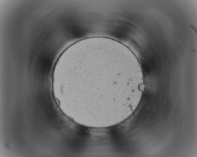 X0000091331150200708241154