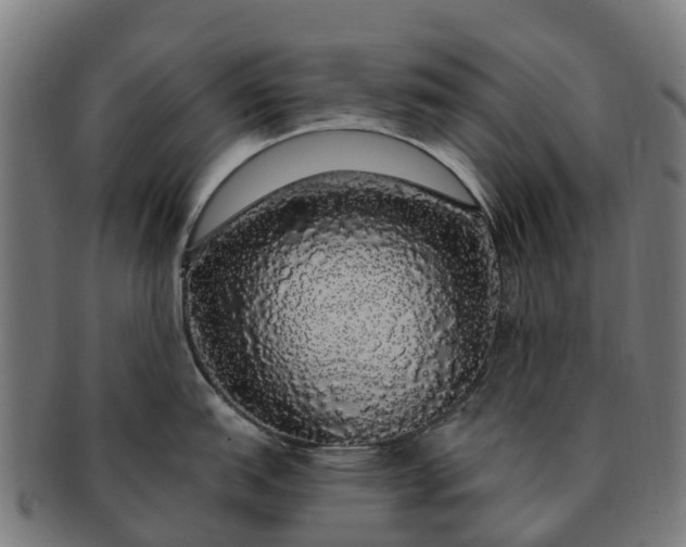 X0000091331151200708241154