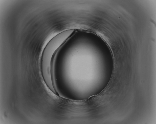 X0000091331152200708241154