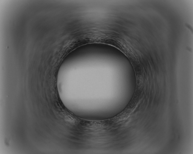 X0000091331153200708241154