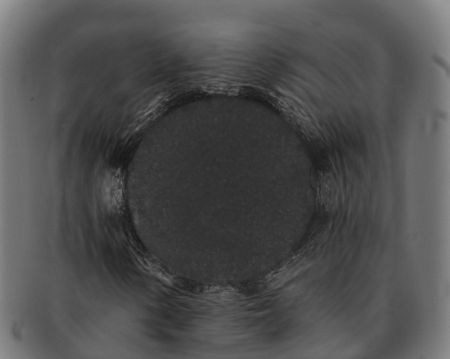 X0000091331154200708241154