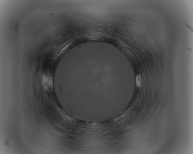 X0000091331155200708241154