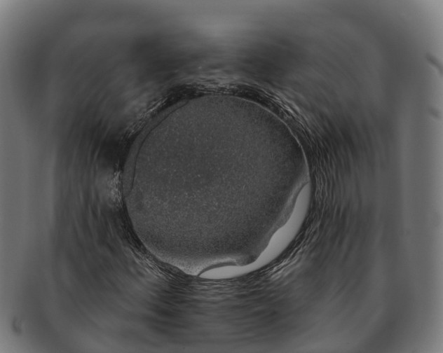 X0000091331156200708241154