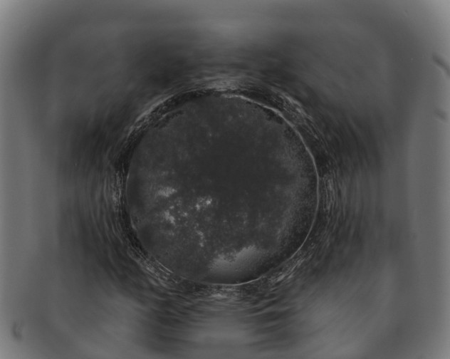 X0000091331158200708241154