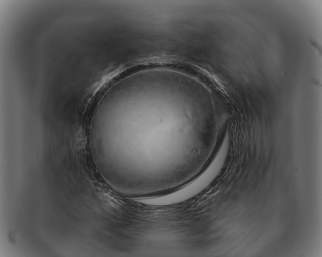 X0000091331160200708241153