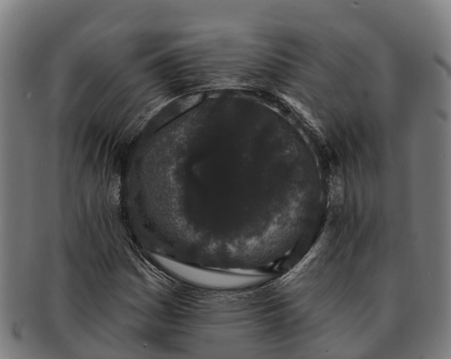 X0000091331161200708241153