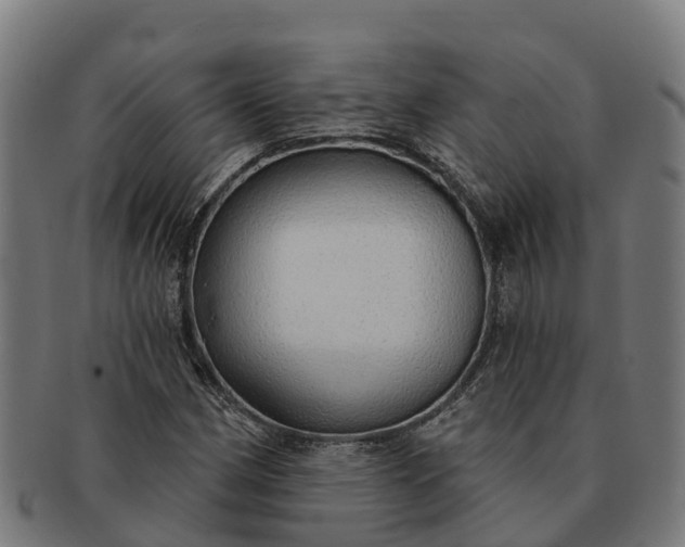 X0000091331162200708241153