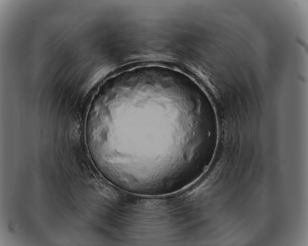 X0000091331163200708241153