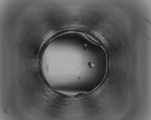 X0000091331164200708241153