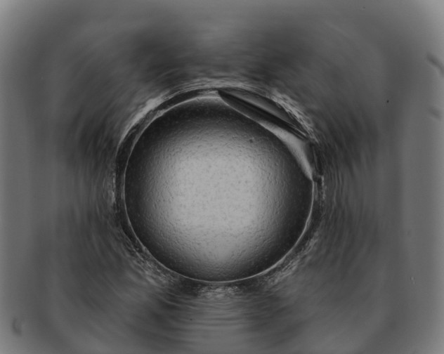 X0000091331165200708241153