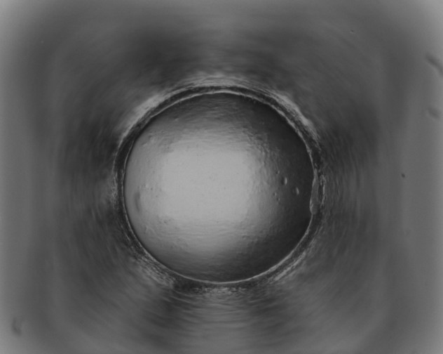 X0000091331167200708241153