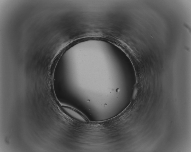 X0000091331168200708241153