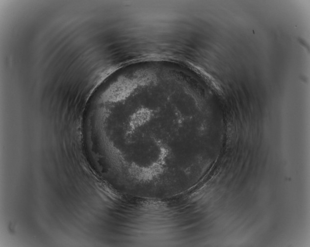 X0000091331170200708241153