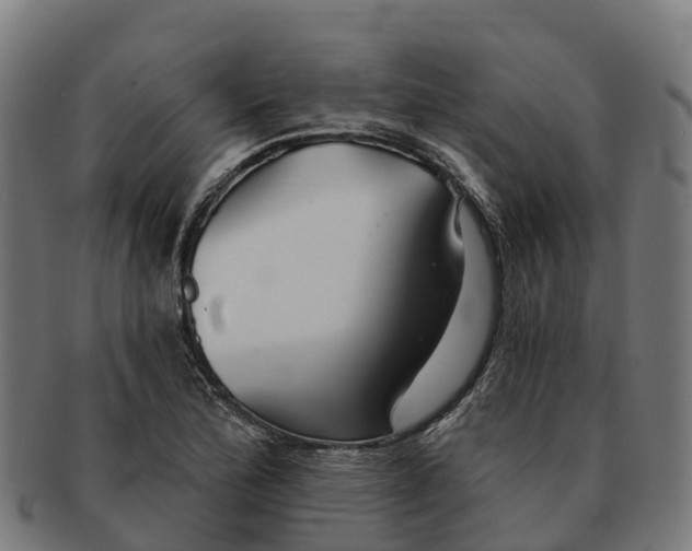 X0000091331172200708241153