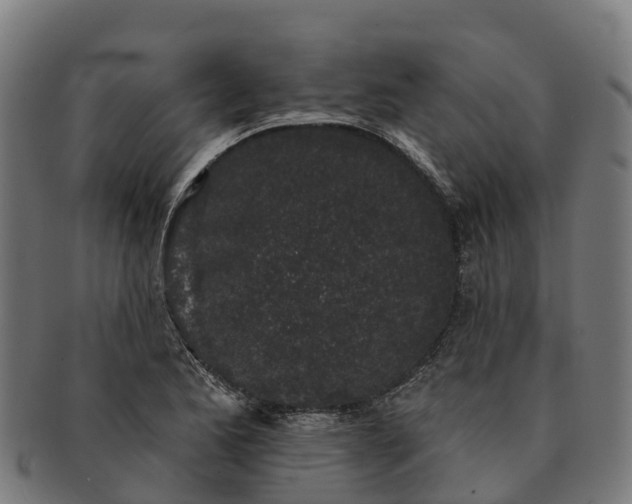 X0000091331173200708241153