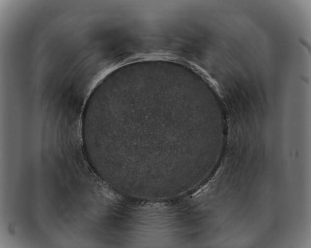 X0000091331174200708241153