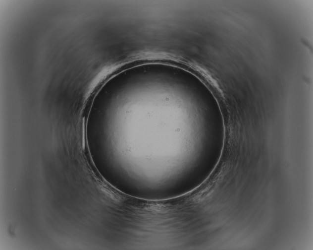 X0000091331175200708241153