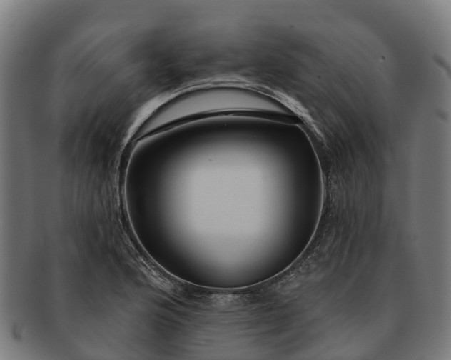 X0000091331176200708241153