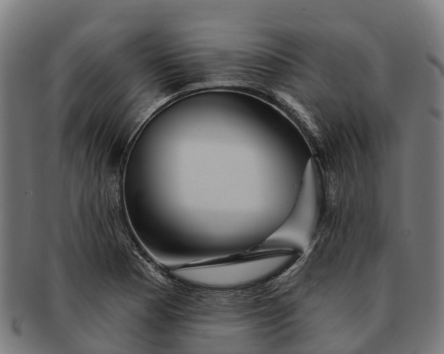 X0000091331177200708241153