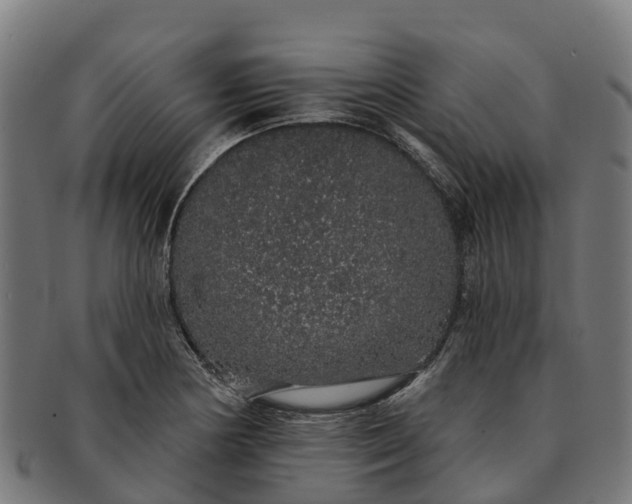 X0000091331178200708241153