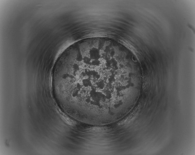 X0000091331179200708241153