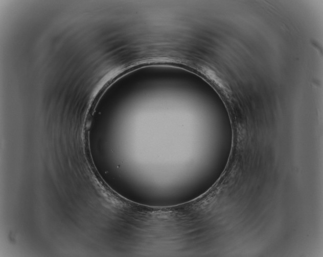 X0000091331181200708241153