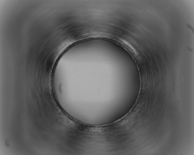 X0000091331182200708241153