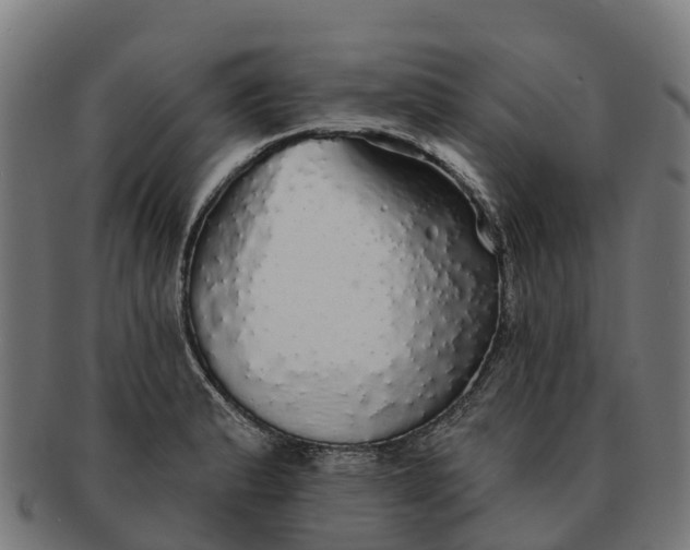 X0000091331183200708241153