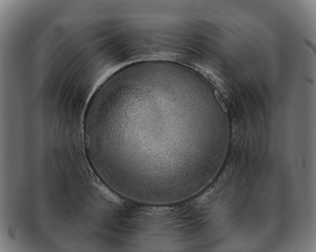 X0000091331184200708241153