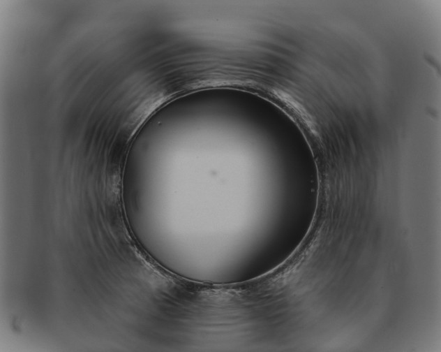 X0000091331185200708241153