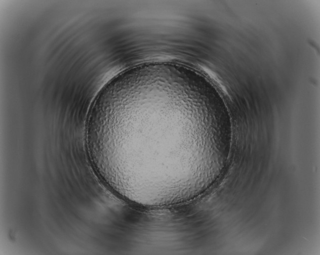 X0000091331186200708241153