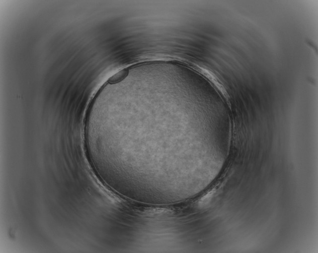 X0000091331187200708241153