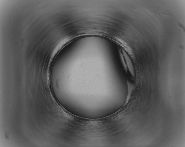 X0000091331188200708241153