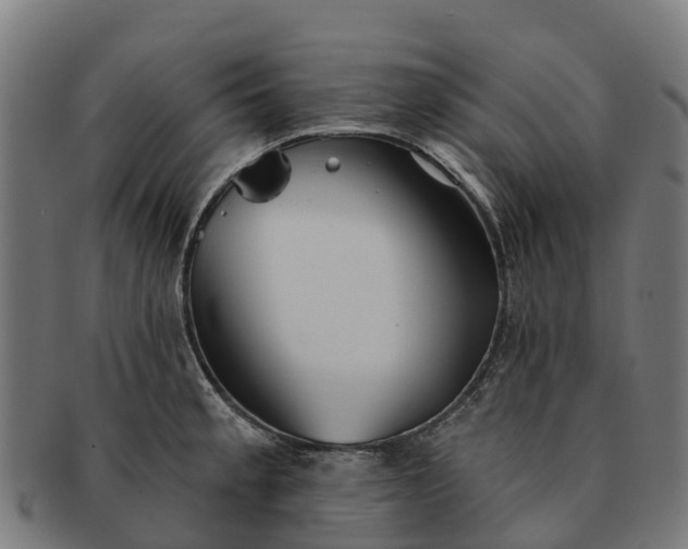 X0000091331189200708241153