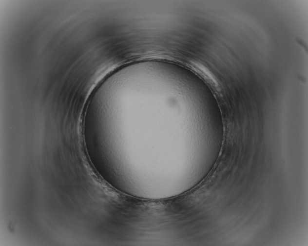 X0000091331190200708241153