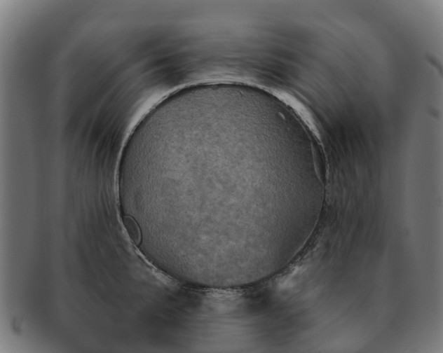 X0000091331191200708241153