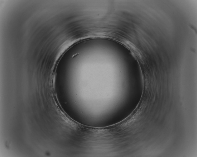 X0000091331192200708241153