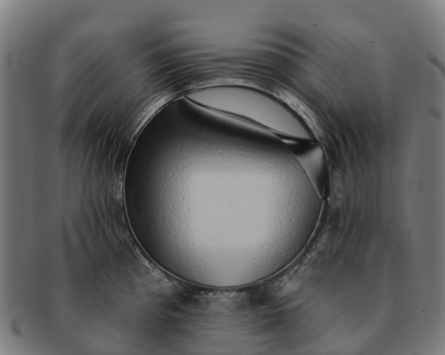 X0000091331193200708241153