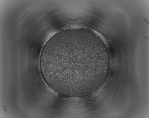 X0000091331194200708241153