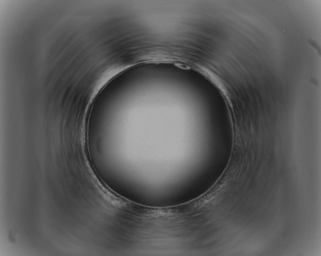 X0000091331195200708241153