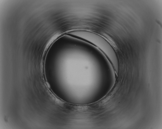 X0000091331196200708241153