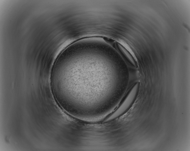 X0000091331197200708241153